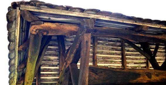 pauget-isabelle-renforcement-bois